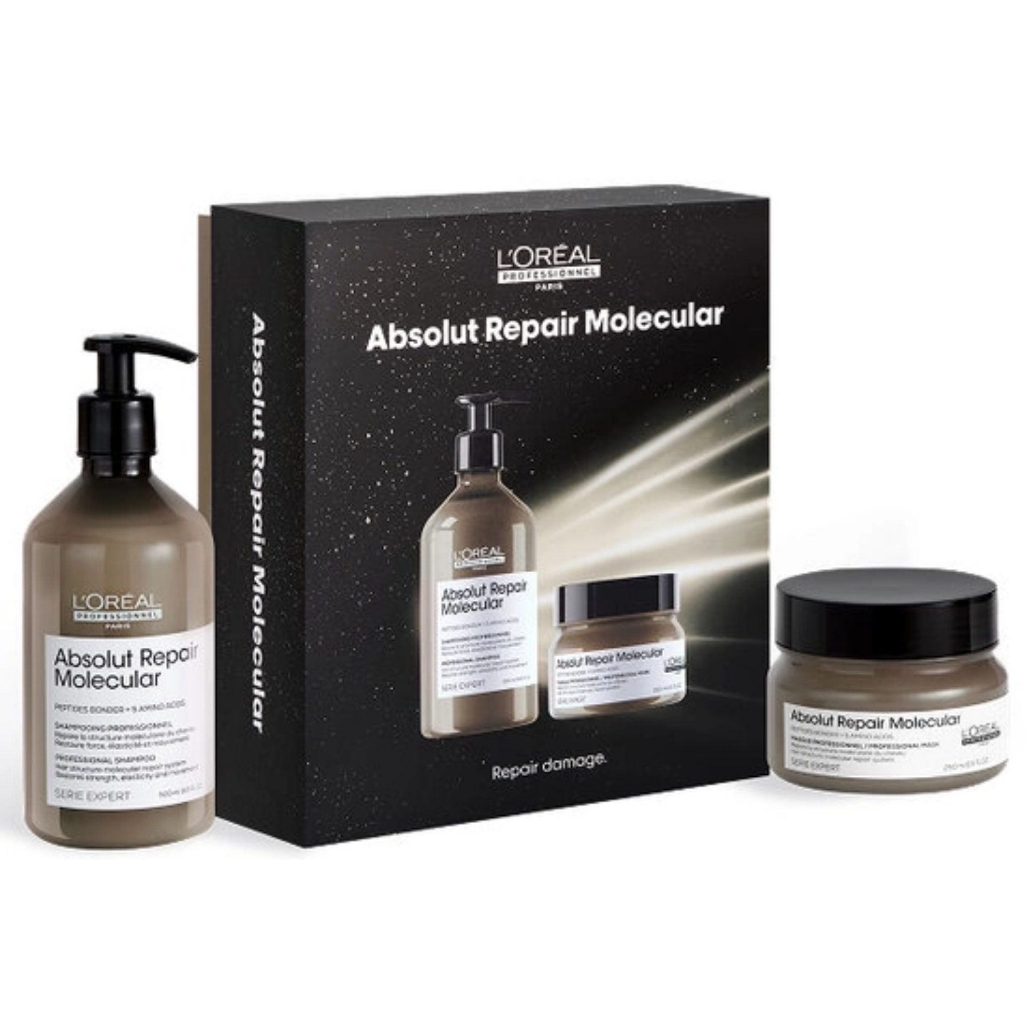 L'Oreal Professionnel Absolut Repair Molecular Holiday Gift Set